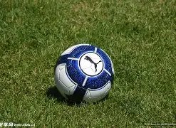 开云官网,资讯,开云体育,开云体育,开云体育官网,开云体育app,开云体育平台,KAIYUN,SPORTS,kaiyun登录入口