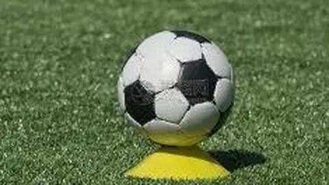 何超莲公开甜蜜互动，为窦骁庆生展甜蜜祝福