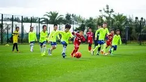 开云官网 产品 093056 q6e