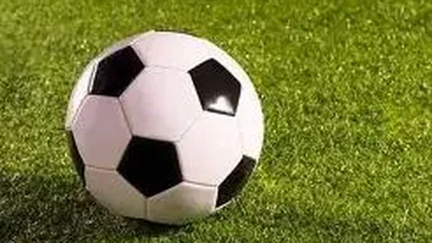 开云官网 资讯 093055 3zx