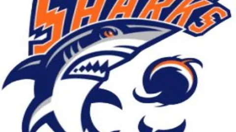 蒂华纳桑托斯拉古纳交锋分析：实力相当