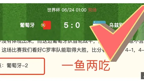 开云官网 123339