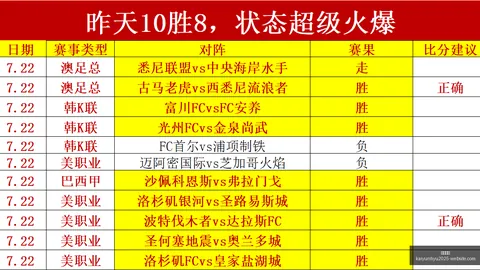 开云官网 080431